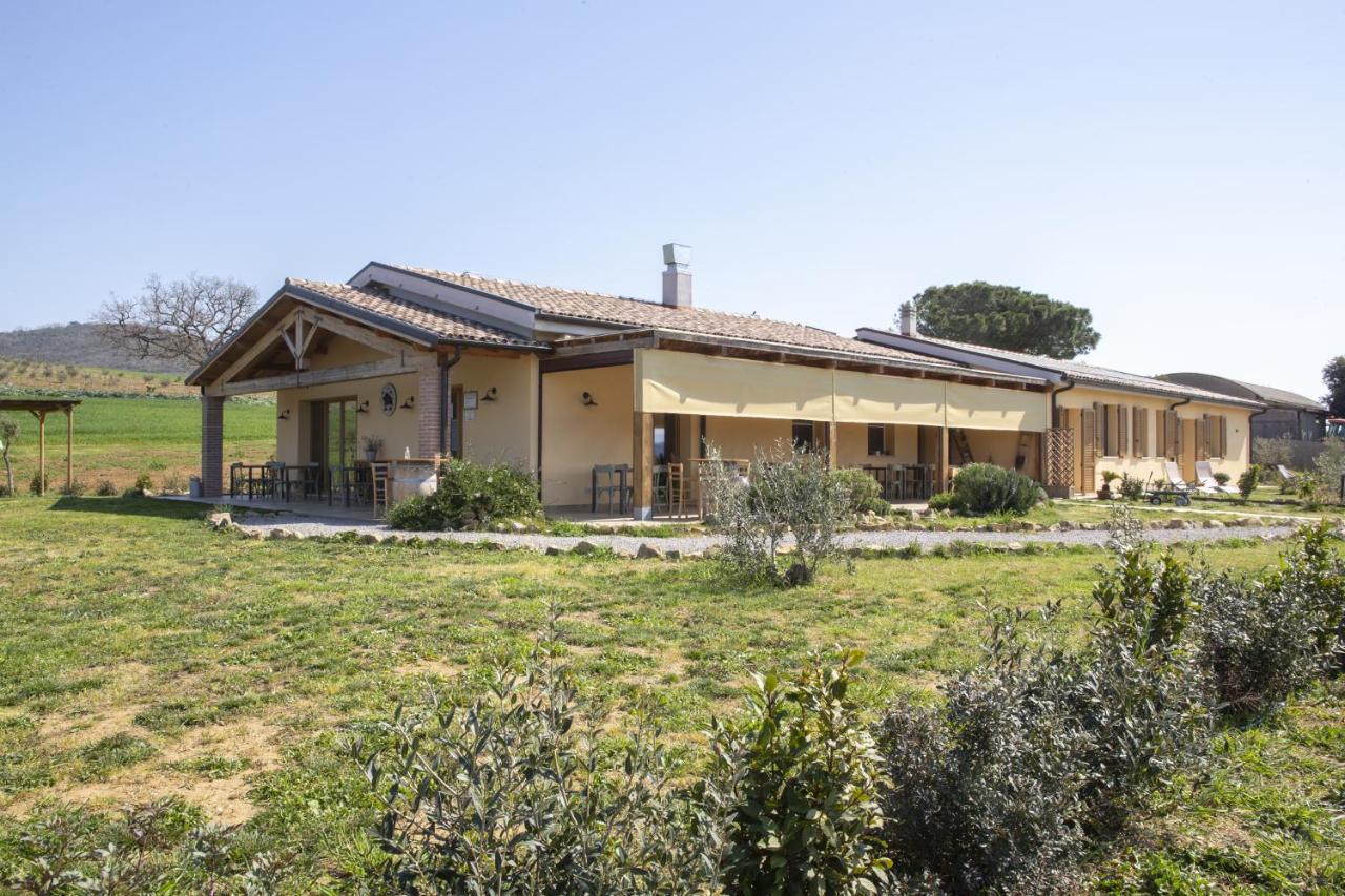 Agriturismo Casa Ricci Villa Magliano in Toscana Exterior photo