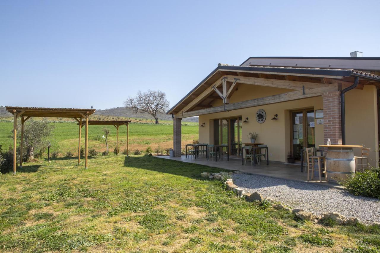 Agriturismo Casa Ricci Villa Magliano in Toscana Exterior photo